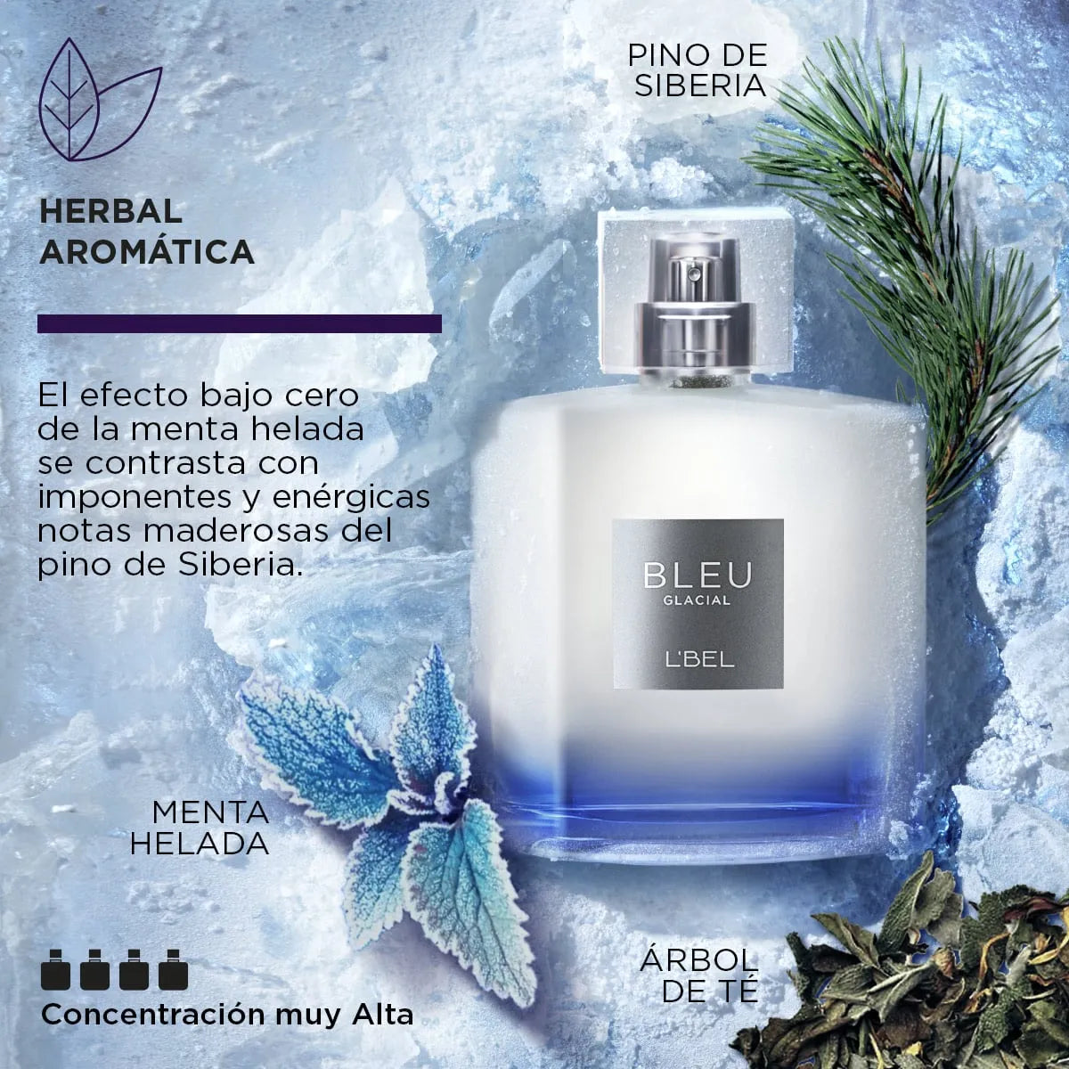Set Bleu Glacial + Bleu Intense