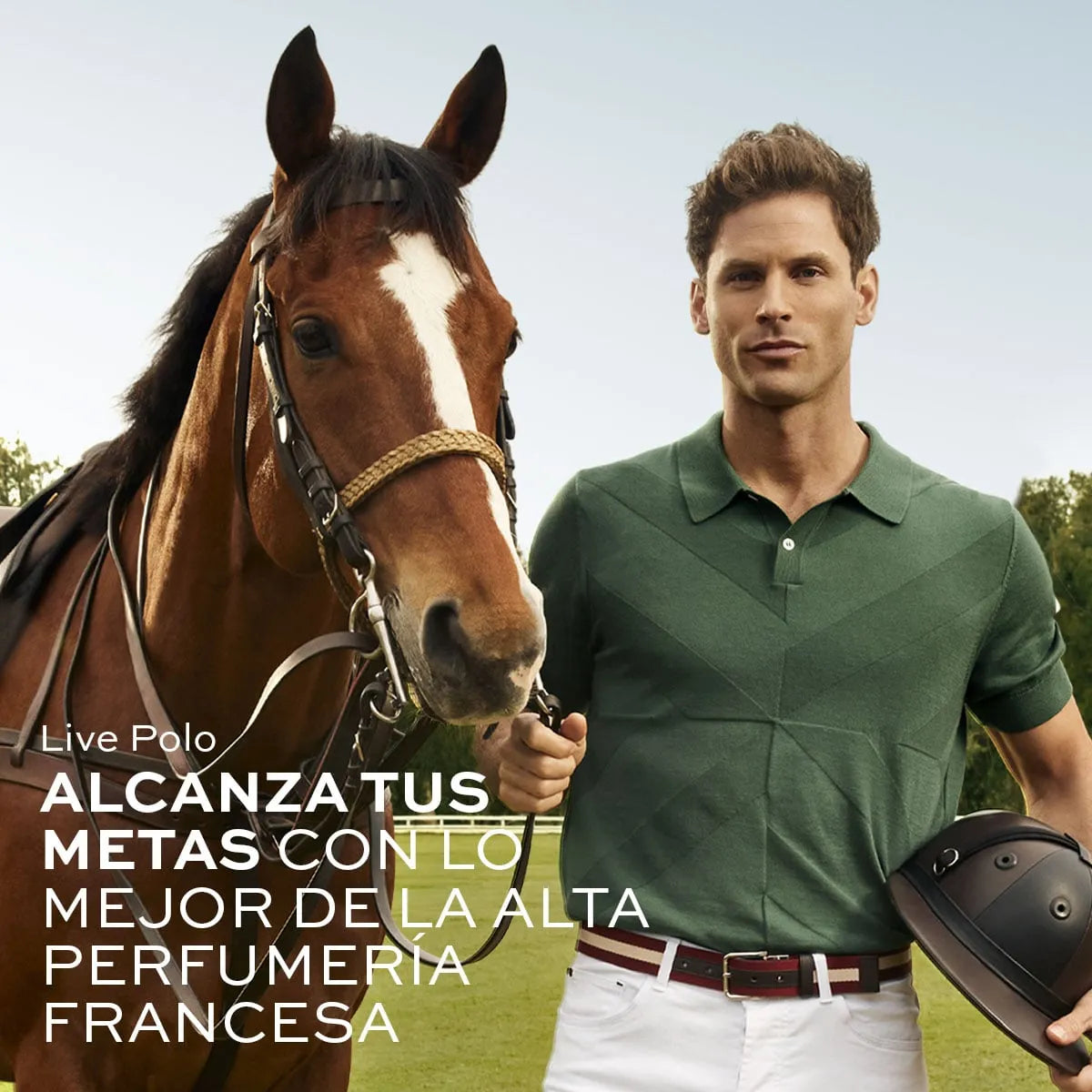 Live Polo
