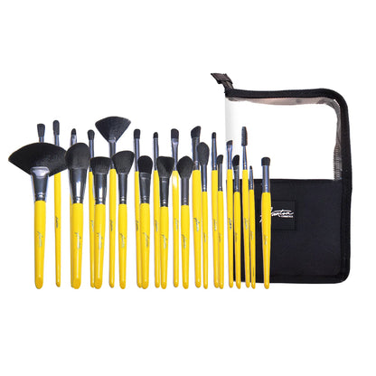 Set 24 Brochas Con Estuche